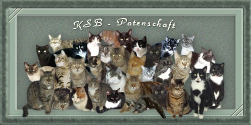 Allgemeine KSB-Patenschaft :-)))