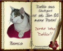Bianca ist im Mai 2004 leider fr immer gegangen :-(((((