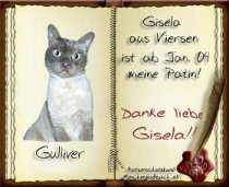 Gulliver ist leider am 27.12.2004 ber die Regenbogenbrcke gegangen :-(((