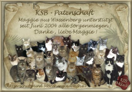 KSB-Patenschaft :-)))