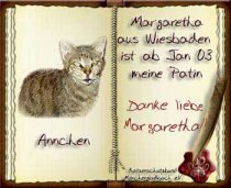 Annchen ist am 23.04.2004 ueber die Regenbogenbruecke gegangen :-(((