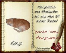 Sonja ist am 26.08.2004 ueber die Regenbogenbruecke gegangen :-(((