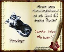 Penelope ist leider am 29.08.2004 ueber die Regenbogenbruecke gegangen :-(((