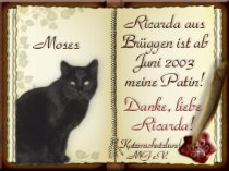 Moses ist nicht mehr bei uns :-(((