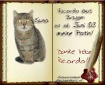 Suna ist leider nicht mehr bei uns :-(((((((((((((((