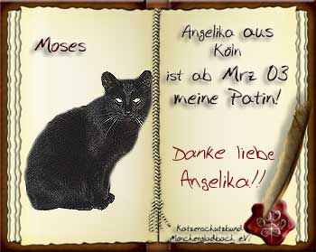Moses ist leider fr immer von uns gegangen :-(((